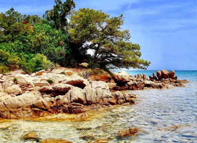 Alana Harris on Unsplash